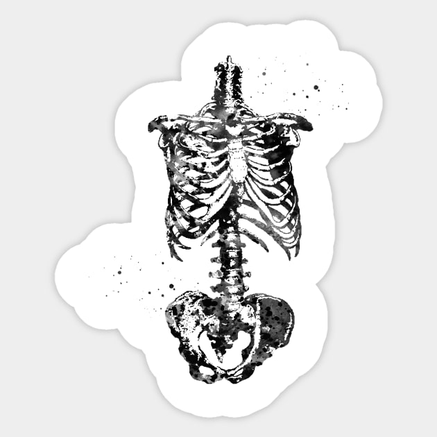 Skeleton Torso Sticker by erzebeth